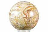 Polished Crazy Lace Rosetta Stone Sphere - Mexico #371160-1